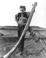 1956 Famous Actor JAMES DEAN Glossy 8x10 Photo Hollywood Celebrity Print picture