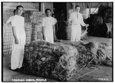 Photo:Manila Philippines 1900s Grading Abaca Fiber Laborers picture