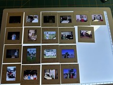 1950's 1960's Family Slides Ford Christmas Seattle Garden Women Girl Fort Sutter picture