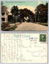 Avenue D Miami Florida 1913 Postcard Historic Palm Lined Street picture