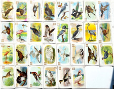 1908 J4 New Series of Birds Dwight's Soda Logo New Series of Birds picture