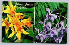 Missouri Botanical Gardens St Louis LA c1960 Unposted Postcard picture