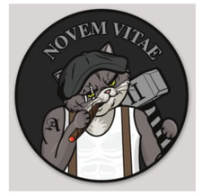 MILITARY 2ND ANGLICO NICE GUYS NOVEM VITAE STICKER DECAL picture