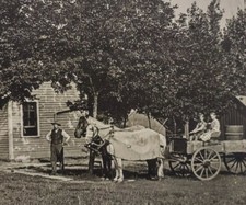 RPPC Real Photo Postcard US Farm Horses Buggy House Wagon Unposted VTG  picture