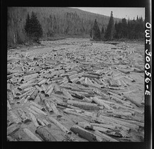 Photo:Maine 1930s Pulpwood Drive Timber Holdings Small Company picture