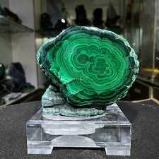 5.72lb Top Rare Natural malachite Quartz Crystal Mineral specimens Decor+Stand picture
