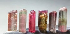 Tri colour terminated tourmaline crystals - 22 Carats picture
