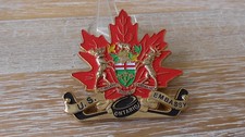 USMC MSG Marine Security Guard US Embassy Ontario Canada Challenge Coin #G189 picture
