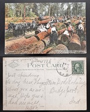 1913 Lumbering in Western North Carolina Land of Sky Logging Mule Teams NC B4 picture