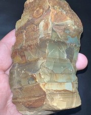 10.9 oz Owyhee Picture Jasper Rough picture