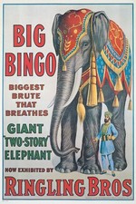🎪 Ringling Bros Big Bingo Elephant Poster - 16x24” - Early 20th Century Decor picture