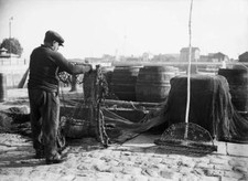 Mussel Fisherman Tyding Up His Nets Harbour Honfleur Around 1931 Old Photo picture