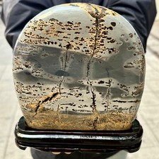 3.15LB Beautiful Natural Chinese Dendritic Limestone Picture Stone Guohua - Rare picture