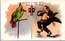 Postcard ~Comic Humor Man Talking To Parrot on Phone Embossed c1915 picture