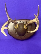 9 Point Whitetail Deer Antler Wall Mount Buck Plaque Hunting Sheds Gun Sports picture