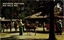Wisconsin Deer Park Wisconsin Dells Chrome Postcard H.H. Bennett Studio picture