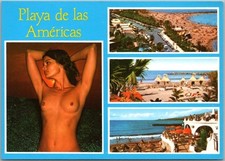 TENERIFE, Canary Islands Spain 4x6 Postcard 