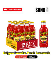 Calypso Paradise Punch Lemonade 16 Fl Oz, 12 Pack Glass Bottles picture