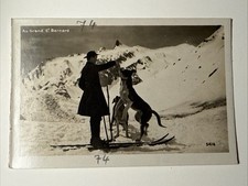 1900s St Bernard Dog Ski Skiing Snow France Alps RPPC Real Photo Postcard Vtg picture