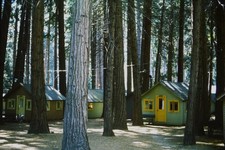 c1960's Kodachrome 35mm Slide, Redwood Forest Cabins, Rustic Vacation Cottages picture