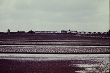 c1940's 35mm Slide Auschwitz Birkenau Concentration Camp Poland Roof Window picture