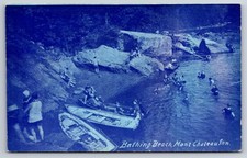 Bathing Beach Mont Chateau Inn Cheat Lake West Virginia WV Morgantown c1910 PC picture