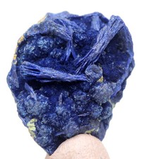 AZURITE DEEP BLUE Specimen Crystal Cluster Mineral MORENCI MINE ARIZONA picture