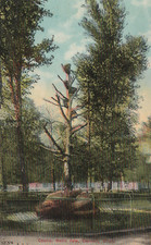 Detroit,MI Coons,Belle Isle  Wayne County Michigan Antique Postcard 1c stamp picture