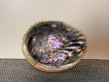 Vintage Abalone Shell 5.5”x4.5” Display Bowl/Dish Decorative Coastal Decor picture