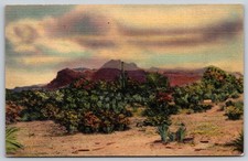 Old Superstitious Mountain Alamogordo New Mexico Postcard PC300 picture