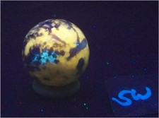 Fluorescent Wernerite with a little Diopside 35mm Sphere Rare UV Collection 6530 picture
