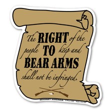 Right To Bear Arms Second Amendment Magnet picture