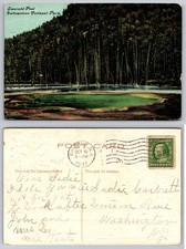 Emerald Pool Yellowstone National Park Postcard 1911 Postmarked Basin MT picture
