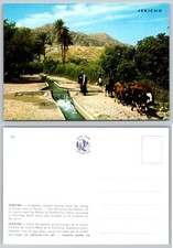 Vintage Jericho Holy Land Postcard Elisha's Spring Mount Temptation Israel picture