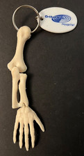 Vintage Skeleton Arm & Hand Orthopedic Hospital Chiropractor Bone Keychain Ring picture