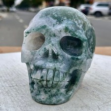 2.73LB Hand carved skull healing specimen of natural aquatic plant skull picture