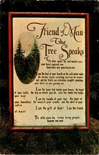 Friend Man, Tree Speaks, MacBeth's, Cook Forest State Park, Postcard picture
