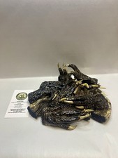 12 Medium American Alligator Feet 2-4” Louisiana picture