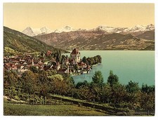 Oberhofen Bernese Oberland Switzerland 1890s Lake Thun Village Photochrom picture