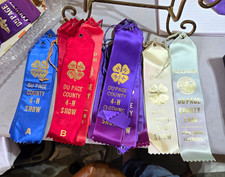 30+ 1970s Dupage County Fair Ribbons Wheaton Chicago IL picture