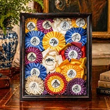 Unique Vintage Horse Show Ribbon Trophy Collage Shadow Box Framed Country Deco picture