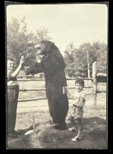 TAXIDERMY BEAR  BOYS SHARE SMOKING PIPES with SCARY STUFFED BEAR HILARIOUS PHOTO picture