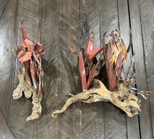 Copper Driftwood Birds Flower Wall Art Vintage Nature 2 Piece Beach Decor picture