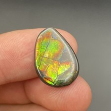 BEAUTIFUL FLASHY CANADIAN AMMOLITE GEMSTONE ALBERTA CANADA GORGEOUS picture