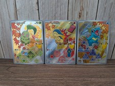 Pokémon First Partner Collection Series 2 Johto Gen 2 Illustration Rare Trio picture