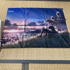 Wonderful Everyday Subarashiki Hibi 15th Anniv. Polyester Tapestry 28.7×22 in. picture