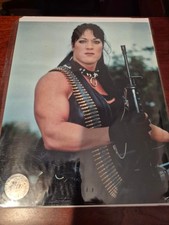 CHYNA WWE Wrestler DIVA ~Joan Laurer~ Lot of 2 Pin-Up Movie Photo +Brooke Hogan picture