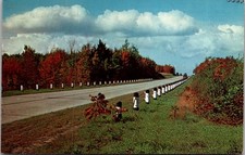 Iowa IA & Nebraska NE Roadside Scene US 30 Lincoln Highway Postcard picture