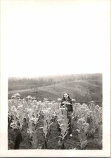 Pretty Young Girl Holding Flowers in Field & Smiling Candid FOUND B+W Photo 0143 picture