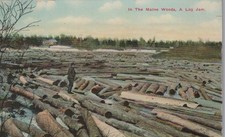 Maine Woods Log Jam Logger River Drive Antique 1910s - Photo Postcard picture
